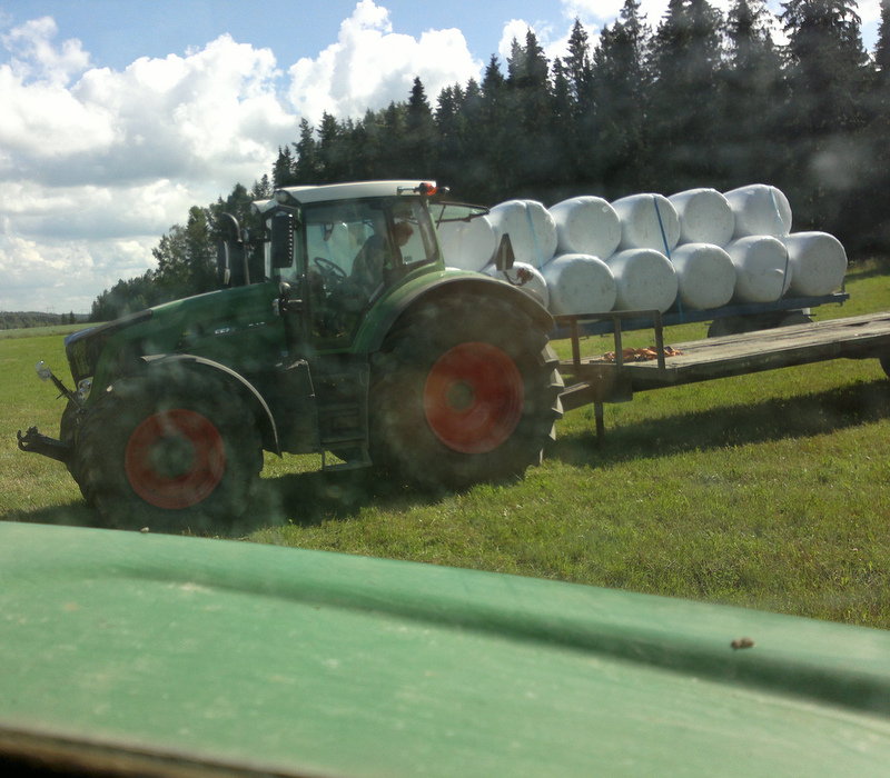 2012-07-31-029.jpg