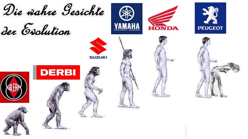 282977_238144596315566_1827402048_n.jpg