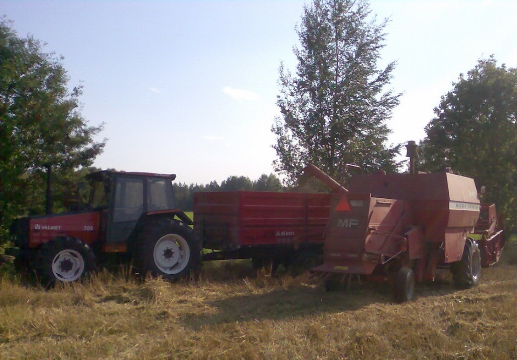 Maalais-Manne055.jpg