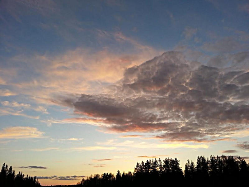 Maisema maantiellä
