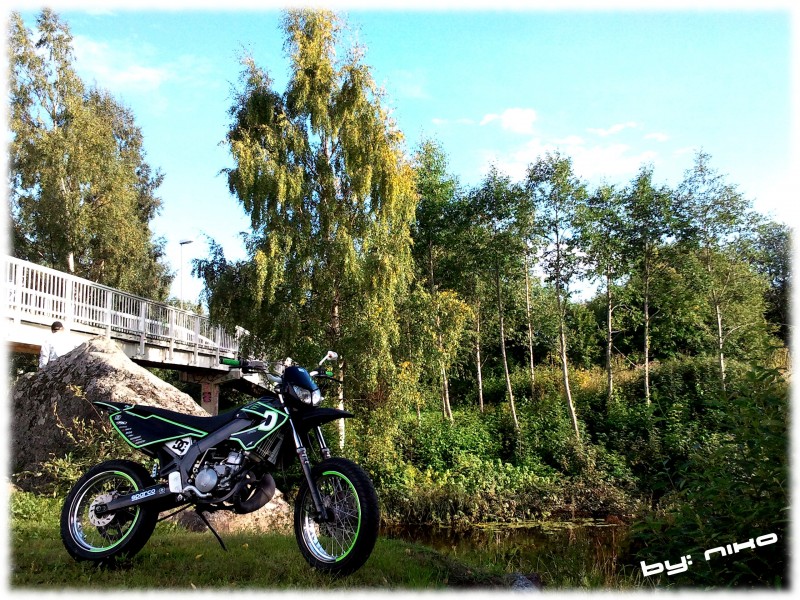 Derbi
