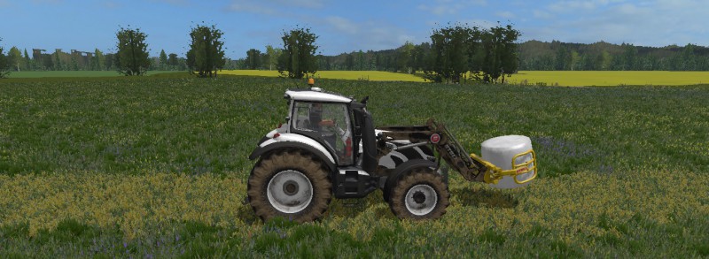 nimeton~2.jpg