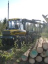 Tiedostonimi=004.JPG
Tiedostokoko=1328kt
Koko=1944x2592
Lisätty=%24.%10.%2011 004.JPG