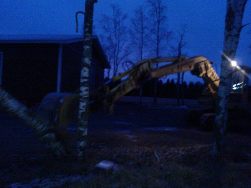 Koivut vs liebherr.
Sai neljä kuollutta koivuu vähä kyytii. 
