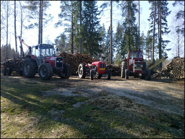 Massikoita
390, 35, 165
Avainsanat: Jöö