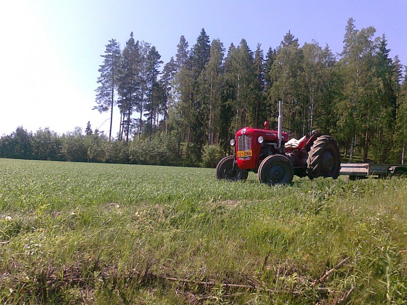 MF 35 X ja muuli 
Siinä poikiille traktorin malli.
Avainsanat: mf,35