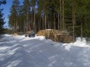 Tiedostonimi=HPIM5316.JPG
Tiedostokoko=1541kt
Koko=2304x1728
Lisätty=%27.%03.%2012 HPIM5316.JPG