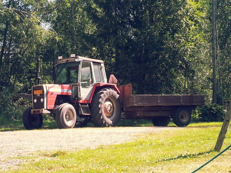 20130728_114114.jpg