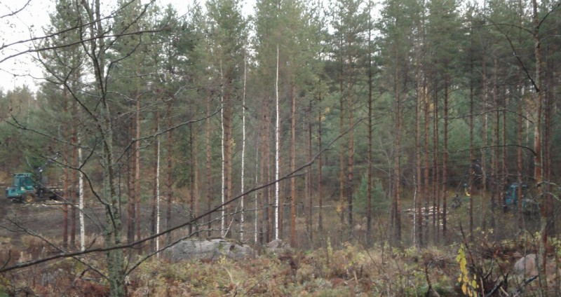 DSC04776.JPG