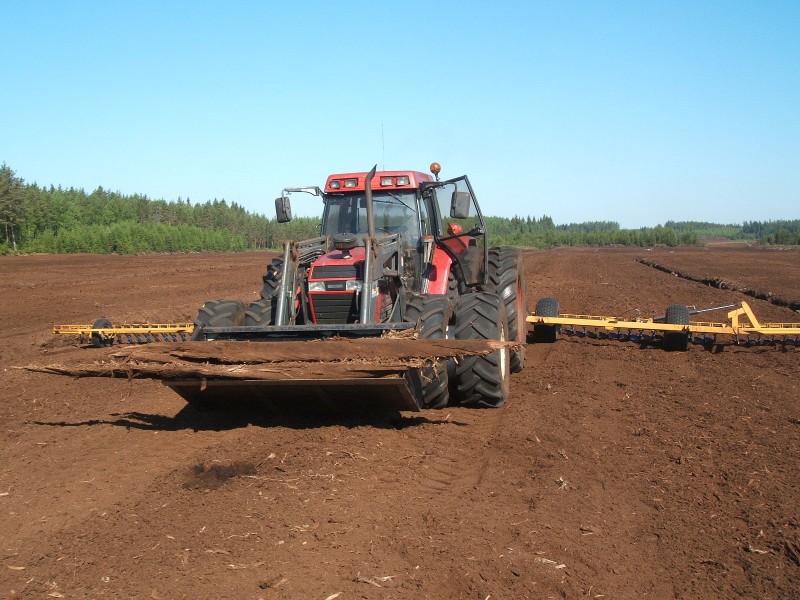 DSCF1696.JPG
