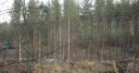 DSC04776.JPG