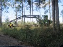 IMG_2244.JPG
