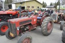 _DSC0478.JPG