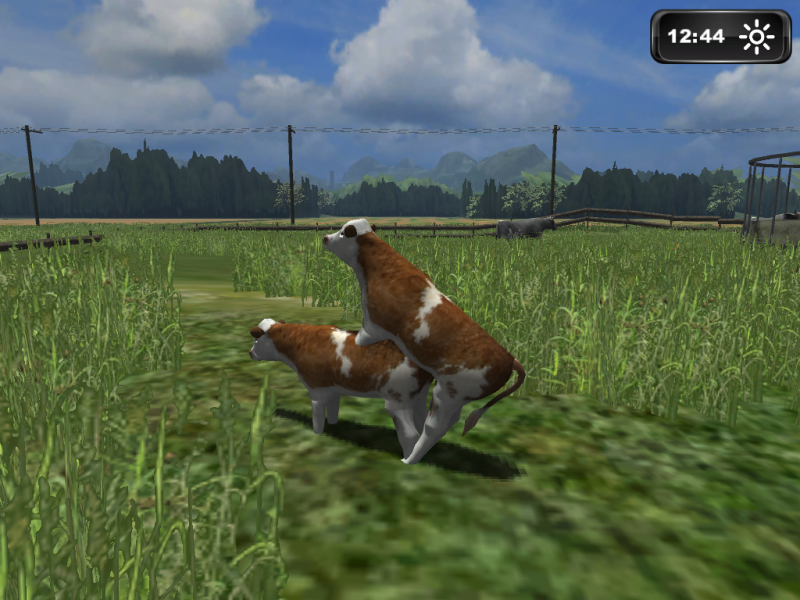 lsScreen_2011_12_20_13_15_41.png