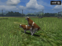 lsScreen_2011_12_20_13_15_41.png