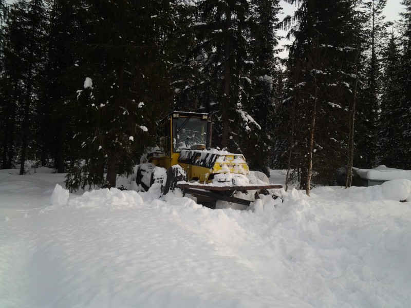 Vammas
Pientä heiräilyä talviunelta ilmassa. 
