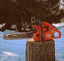 2013-04-06_11_37_40.jpg