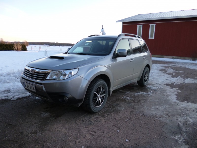 siin forester
