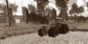 nimeton.png