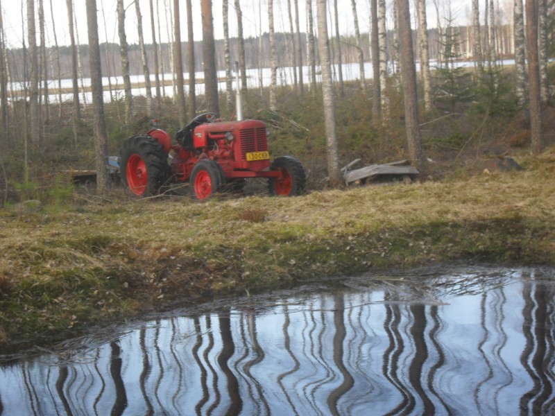 359_015.JPG