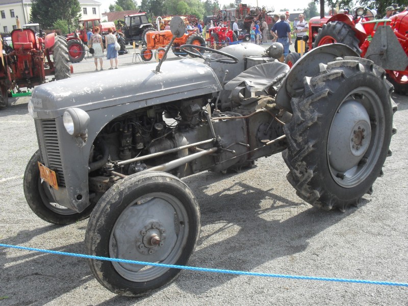 Kuvia_190.JPG