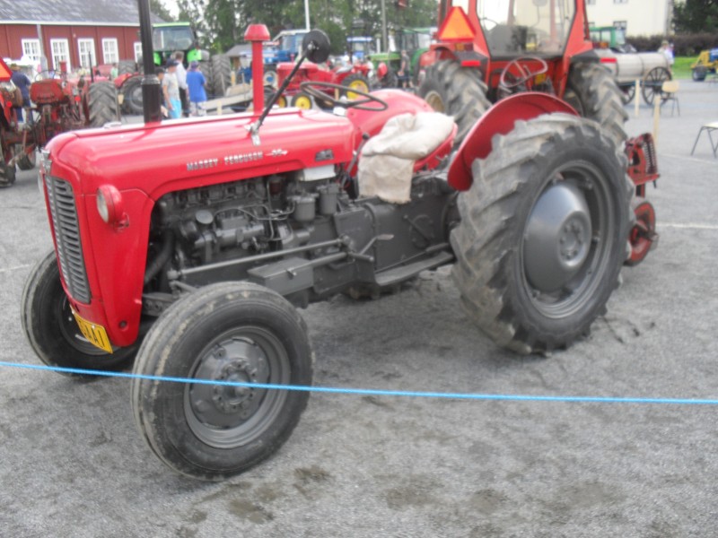 Kuvia_201.JPG