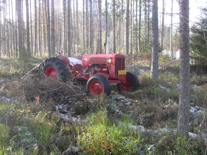 359:llä metässä
