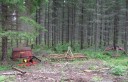 Tiedostonimi=012.JPG
Tiedostokoko=2291kt
Koko=2992x1928
Lisätty=%31.%07.%2012 012.JPG
