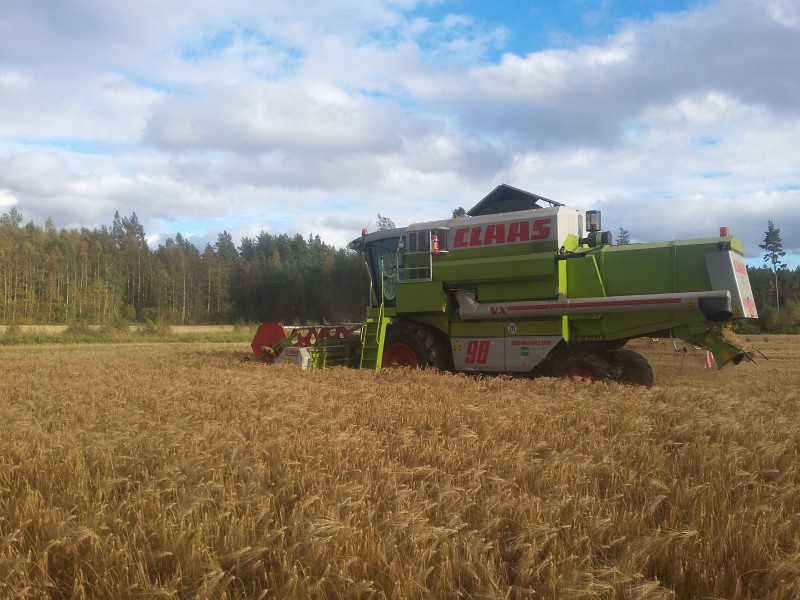Puintia
Claas Dominator 98VX:llä puintia
