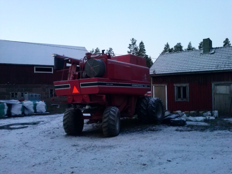 intikka!
