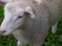 DSCN2206.JPG