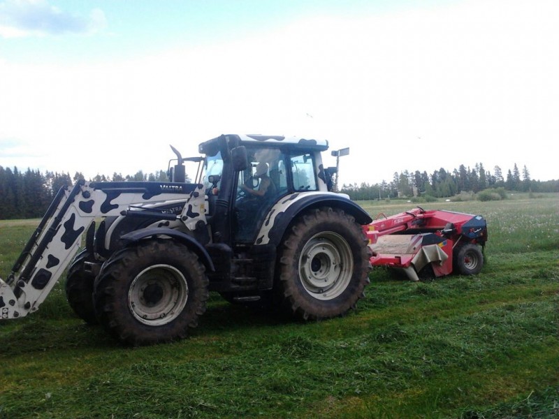 Tutun N142Directi
Joo joku vanha kuva löytyi.
