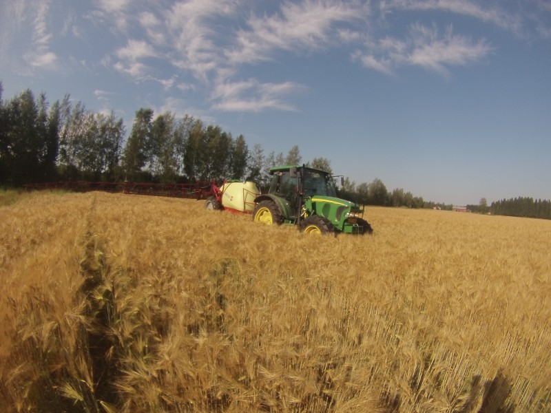 Ruiskuttamassa Roundup:ia
Kalustu: John Deere 5820
             Hardi Ranger 2500 20 m puomilla
