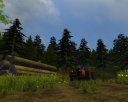 Mettas_fs13.png
