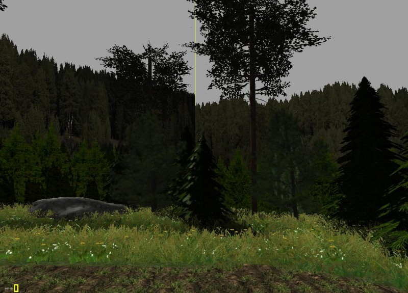 Oisko hyvä?
Sanokaas onko nuo metsä seinät hyvät?
