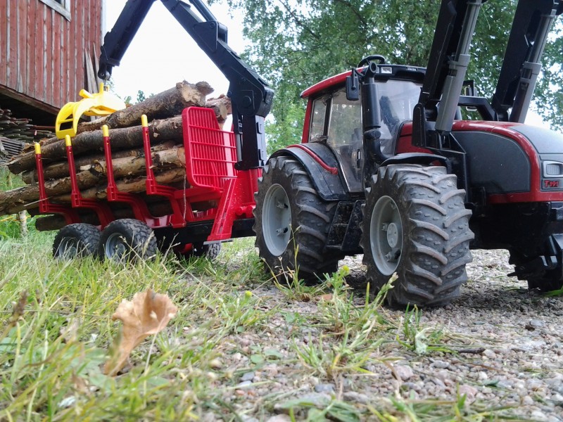 kuva kesältä
