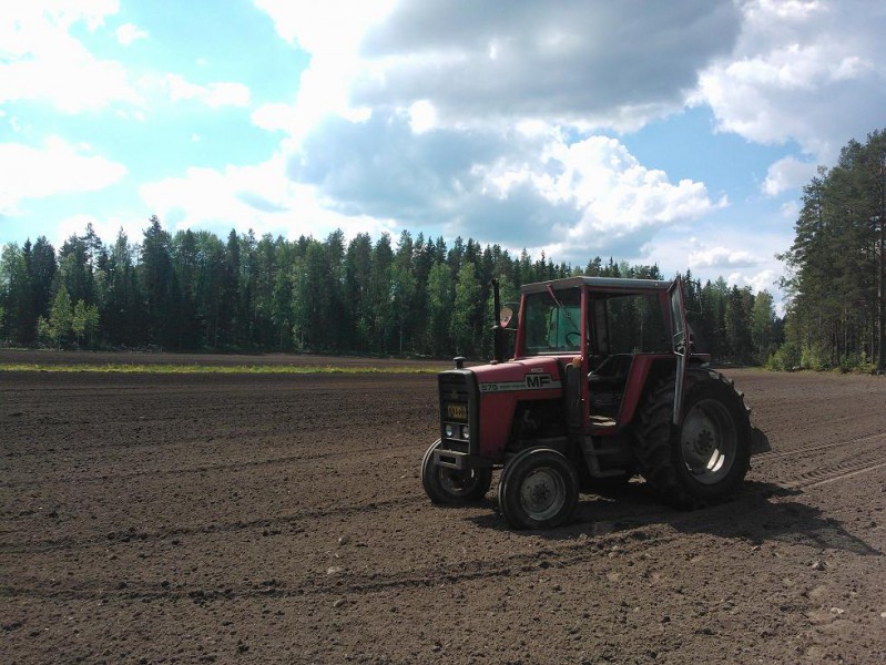 Massey Ferguson 575 kivenkeräyksessä
Urakkakone :)
Avainsanat: massey ferguson; urakkakone; kivien kerääminen; pelto; toukotyöt