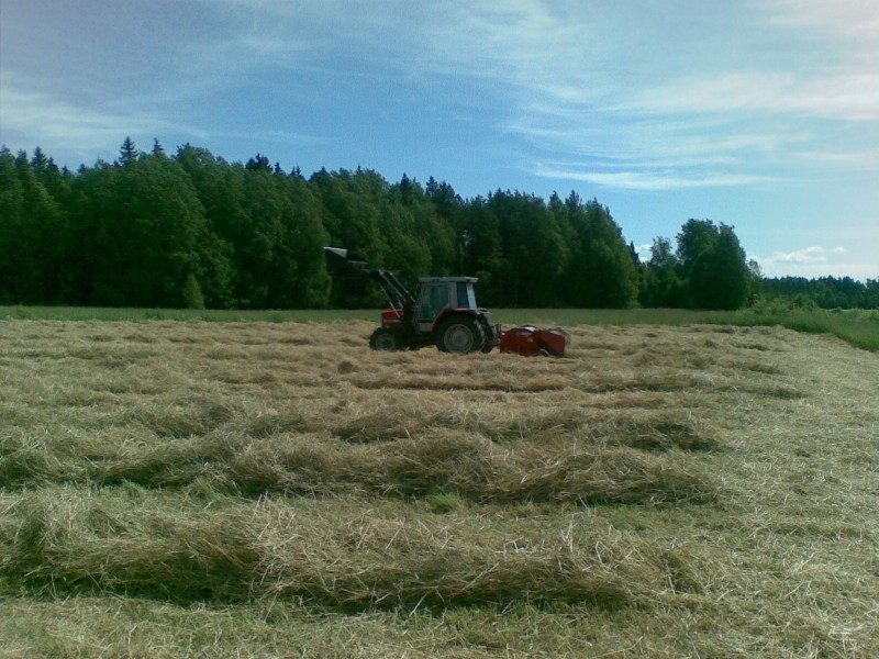 kesä 2010
oi niitä aikoja...
