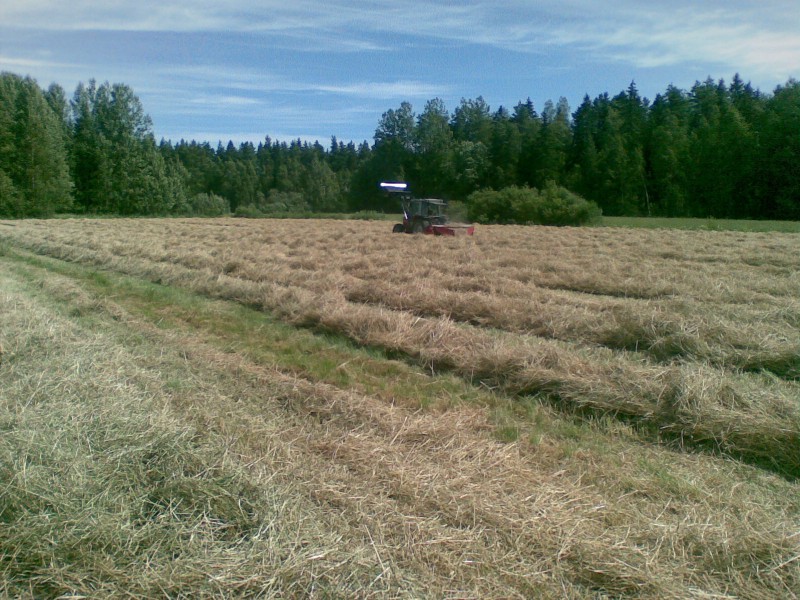 100720102800129.jpg