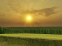 fsScreen_2014_06_15_13_08_59.png